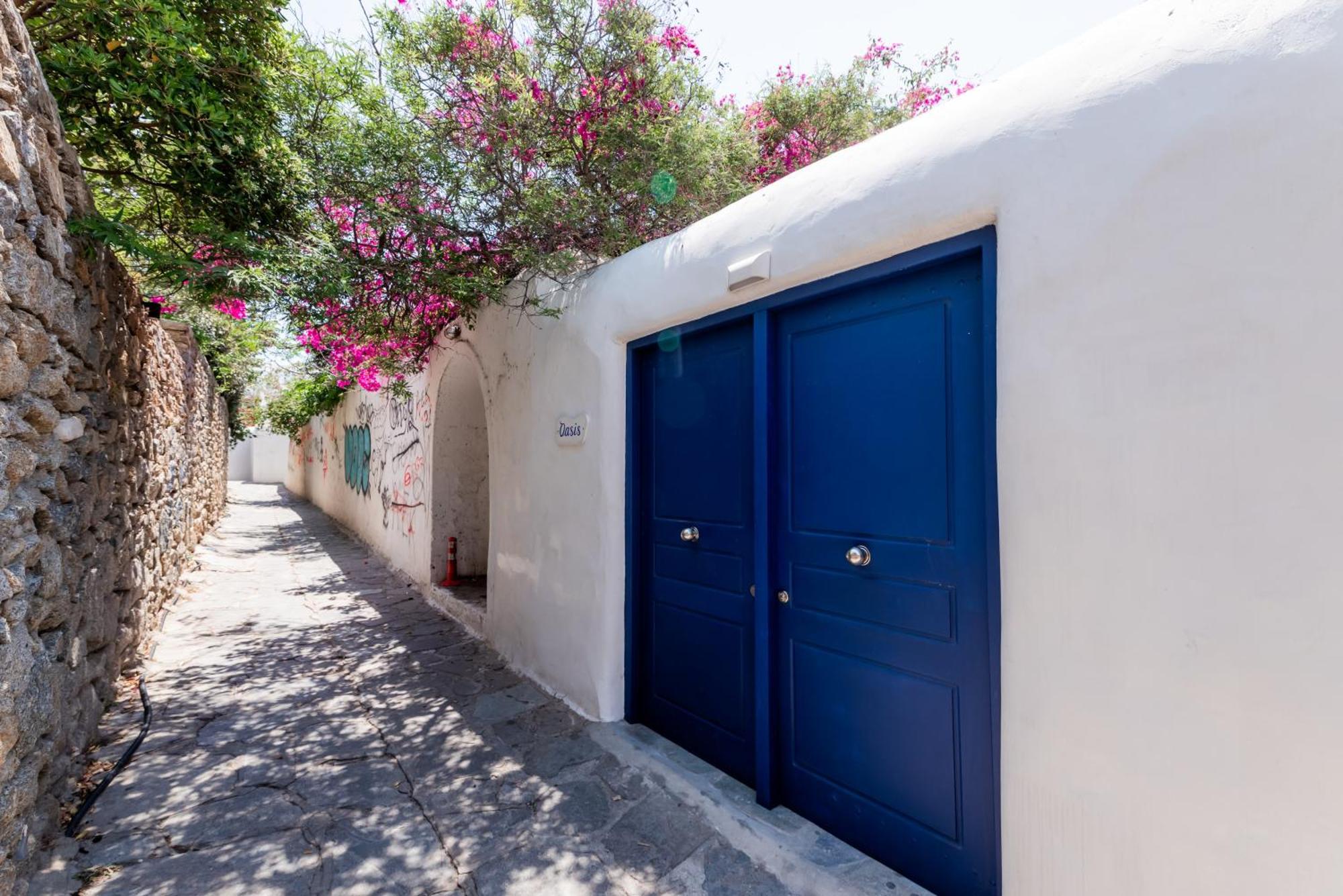 Olive Tree & Capari Mykonos Town Homes & Apartments With Pool! Exterior photo